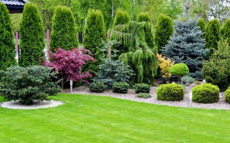 Entretien de la pelouse et du jardin : préserver la beauté de la nature